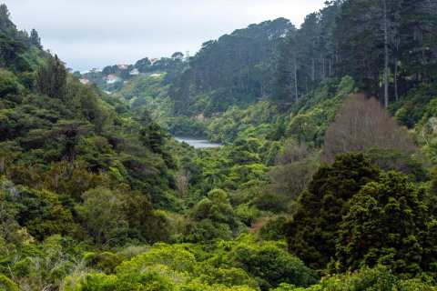 Zealandia Te Māra a Tāne — photo 2