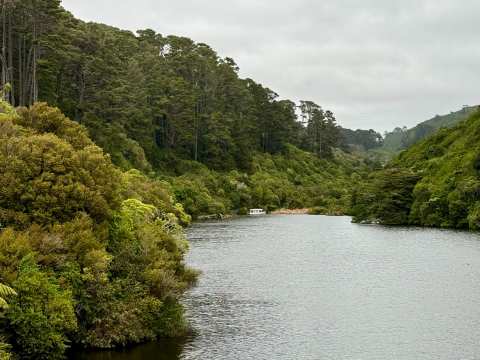 Zealandia Te Māra a Tāne — photo 3